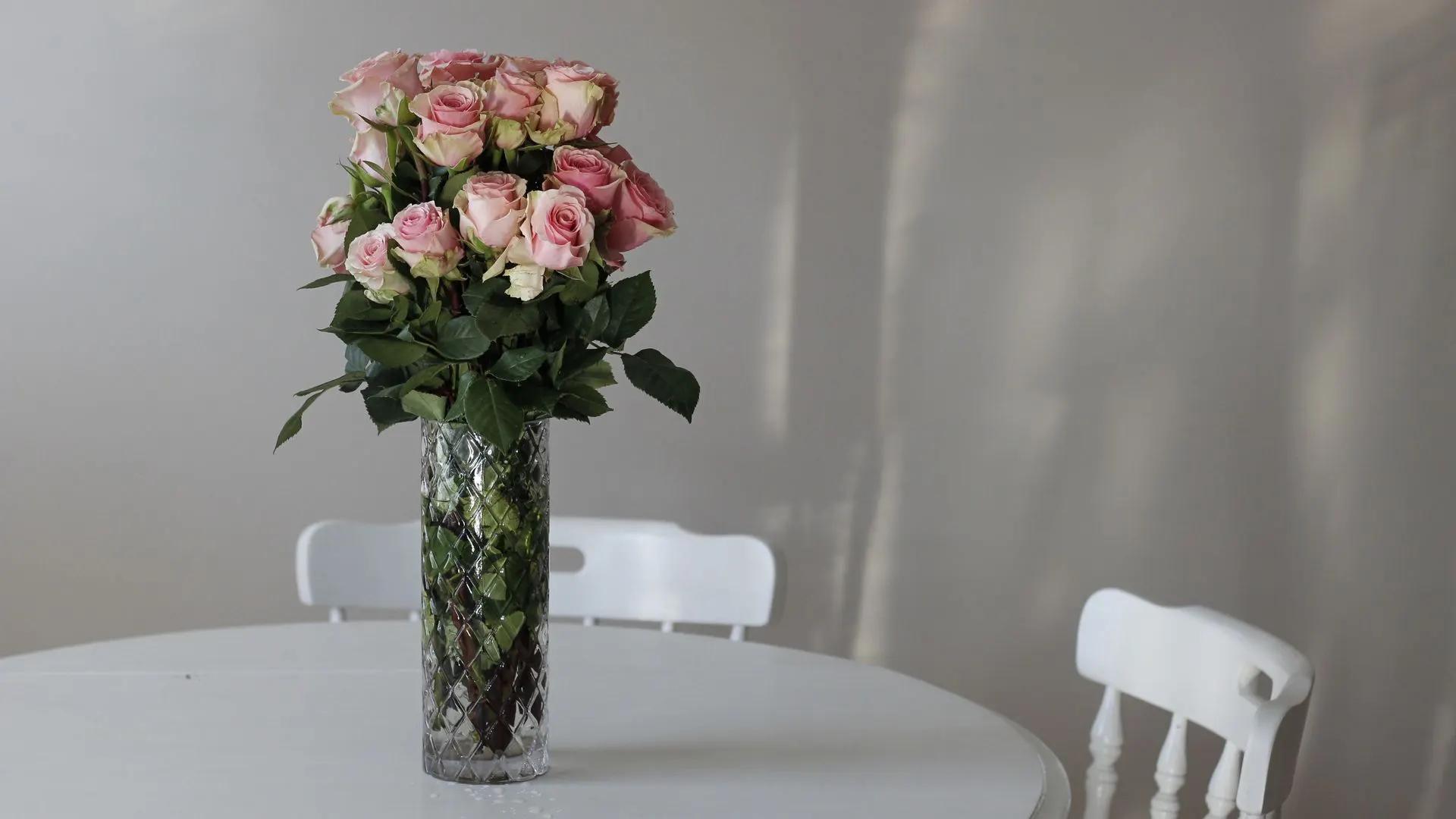 Pink roses in a glass vase on a white table, with white chairs against a pale wall